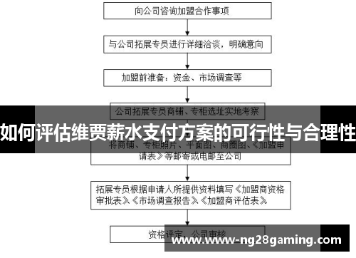 如何评估维贾薪水支付方案的可行性与合理性