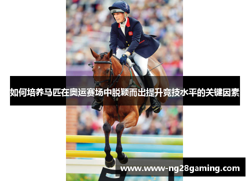 如何培养马匹在奥运赛场中脱颖而出提升竞技水平的关键因素