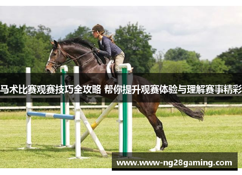 马术比赛观赛技巧全攻略 帮你提升观赛体验与理解赛事精彩